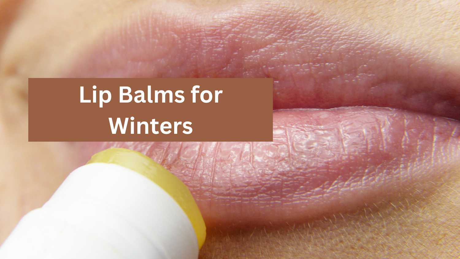 Lip Balms For Winter: How To Apply And Must-Have Picks